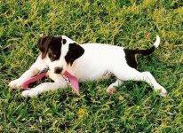 1535-Zoe-Scan-0007.JPG