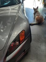 20220426_162626.jpg