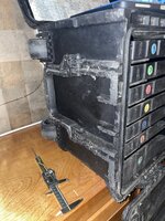 IMG_2029.jpeg