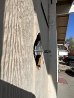 IMG_9631.jpeg
