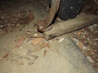 DSCF6532.JPG DSCF6532.JPG