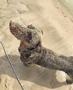 IMG_0662.jpeg