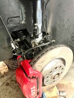 IMG_3304.jpeg