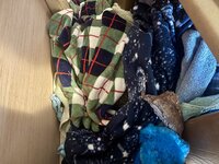 IMG_6264.jpeg IMG_6264.jpeg