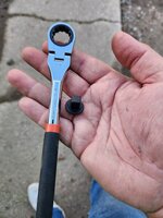 20231024_182703.jpg
