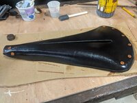 PXL_20201114_155641077.jpg