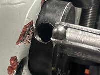 IMG_8972.jpeg