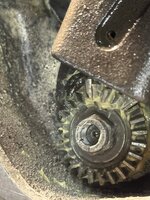 IMG_8982.jpeg