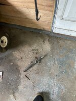 IMG_1491.jpg IMG_1491.jpg