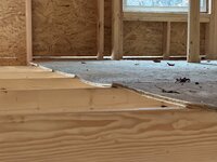 IMG_0385.jpeg