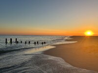 IMG_7558.jpeg