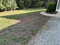 IMG_0025.JPEG