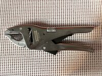 IMG_6280.jpeg