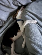IMG_2651.jpeg