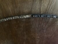 IMG_2963.jpeg IMG_2963.jpeg