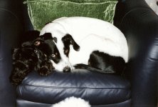 1538-Zoe-Scan-0015.jpg