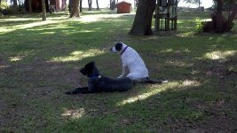 1539-2010-09-03-guard duty.jpg