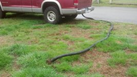 killin moles the redneck way.jpg
