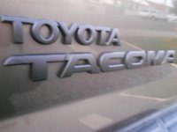 Taco-1.jpg