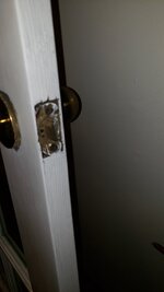 20231104_075307.jpg