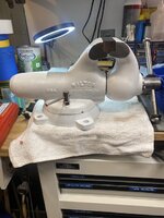 IMG_1042.jpeg