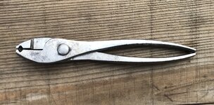 IMG_0979.jpeg