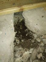 IMG_20231106_180706.jpg