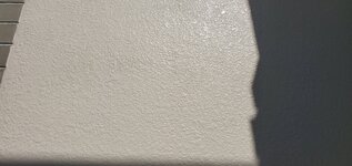 20231107_105539.jpg