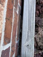 IMG_1083.jpeg