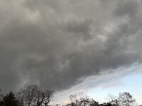 IMG_6449.jpeg