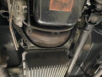 IMG_6478.jpeg