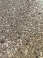 IMG_3502.jpeg