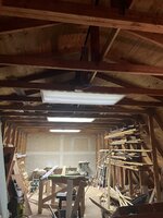 IMG_2019.jpg IMG_2019.jpg