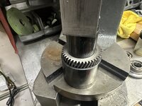 IMG_9358.jpeg IMG_9358.jpeg