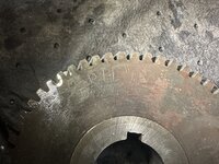 IMG_9429.jpeg