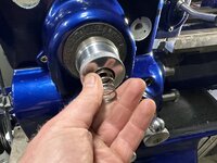 IMG_9558.jpeg