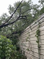 IMG_3892.jpeg IMG_3892.jpeg