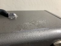 IMG_7568.jpeg