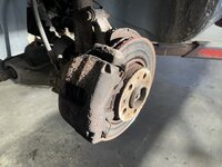 IMG_6529.jpeg IMG_6529.jpeg