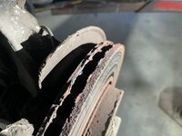 IMG_6530.jpeg IMG_6530.jpeg