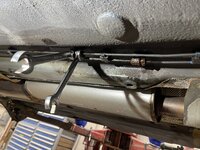 IMG_6532.jpeg IMG_6532.jpeg