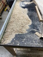IMG_9165.jpeg