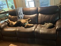 IMG_1949.jpeg