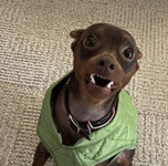 IMG_0525.jpeg