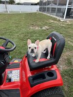 IMG_7411.jpeg