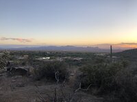 IMG_5270.jpeg