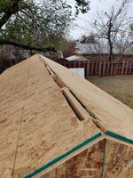 IMG_20201113_155216.jpg