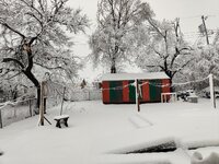 IMG_20210101_093859.jpg