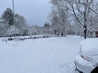 IMG_6599.jpeg