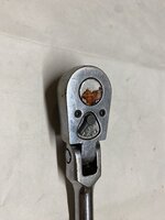 IMG_2913.jpeg